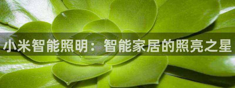 云顶国际老板是谁呀