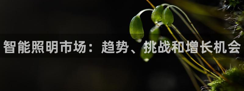 云顶国际游戏平台排行榜