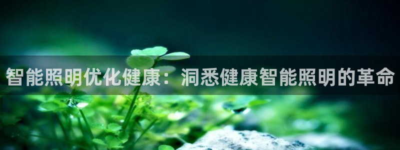 云顶国际部一年学费