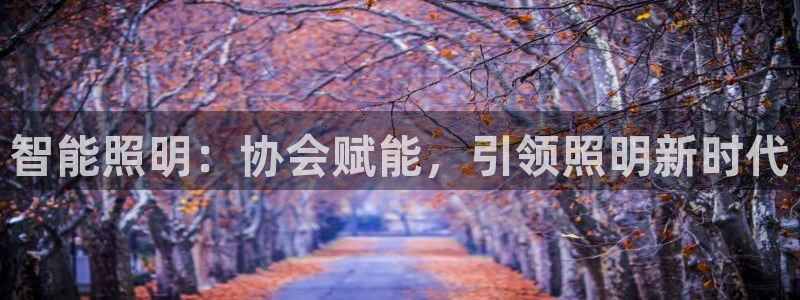 云顶国际平台游戏