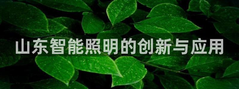 云顶国际集团游戏app