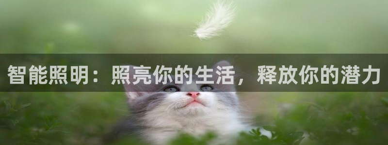 云顶ktv国际会所
