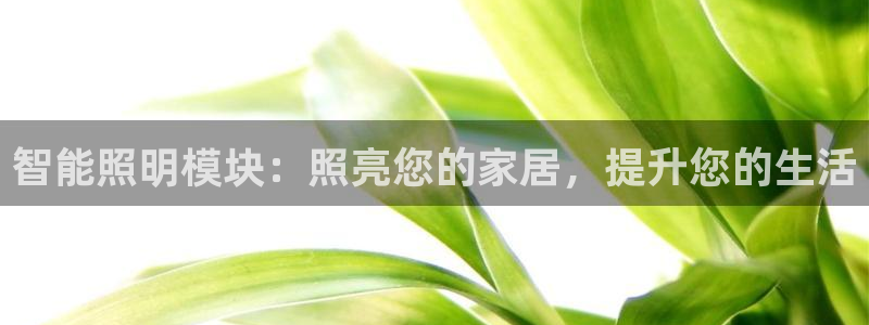 云顶国际app官方下载安装