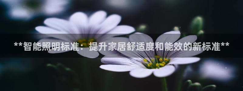 云顶国际服怎么下
