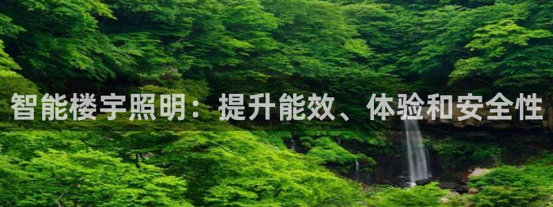 云顶国际集团发展有限公司国内项目总经理