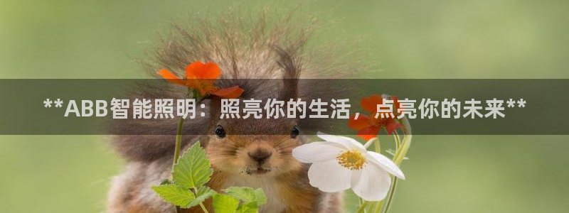 云顶集团3118app