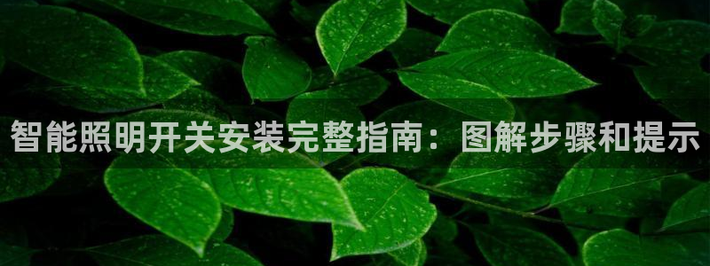 云顶国际yd333