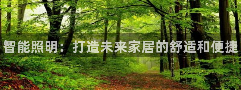 云顶国际软装公司怎么样知乎