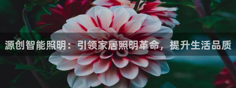 云顶国际黑网不出款怎么办