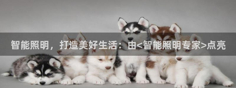 云顶国际黑网不出款