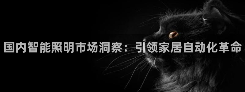 云顶国际提现失败怎么办