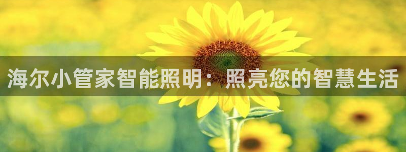 云顶国际App