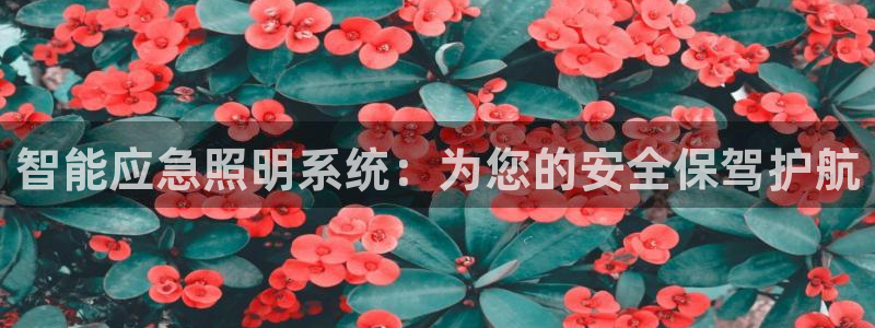 云顶国际服s10