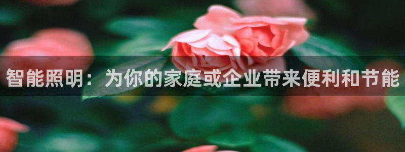 云顶国际app官方网站下载