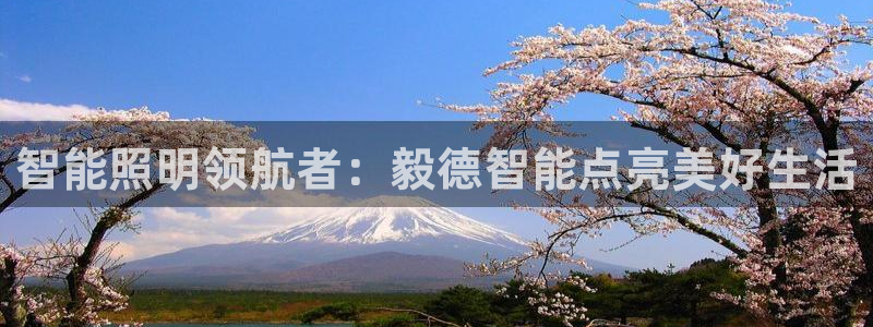 云顶国际林梧桐
