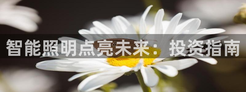 云顶国际取款多久到账户