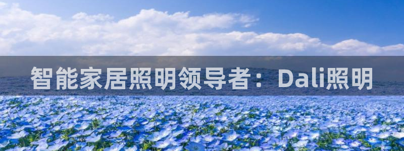 云顶国际婚礼大酒店位于哪里