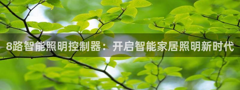 云顶集团老板是谁