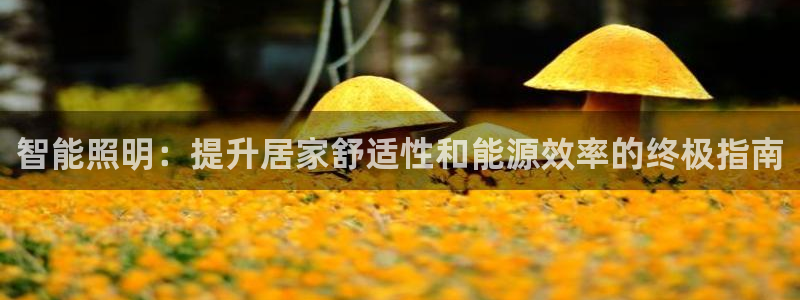 云顶国际高中