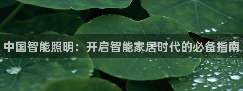 云顶国际服怎么玩