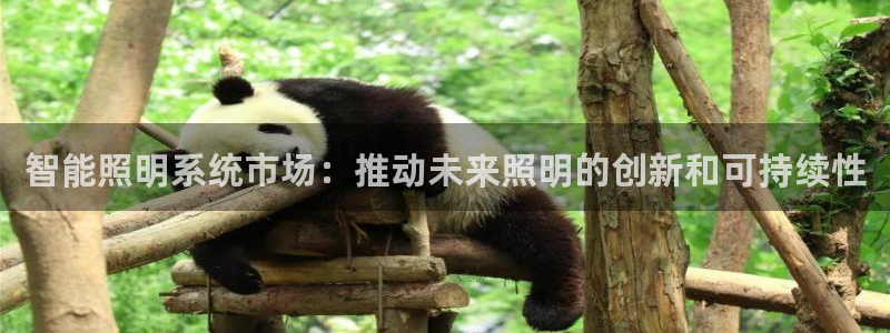 云顶集团老总是谁