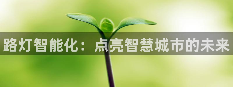 云顶国际--行业领导品牌