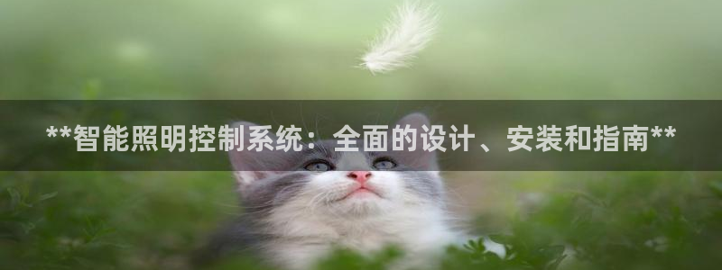 云顶国际集团游戏app