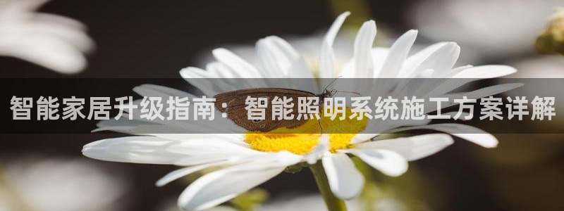 云顶集团网站app下载安装