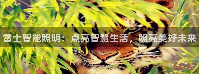 云顶国际能提现吗知乎