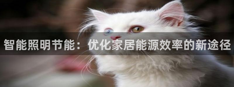 云顶国际服怎么玩