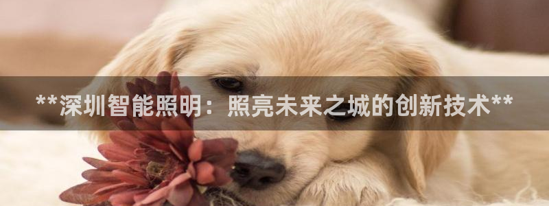 云顶集团有限公司简介