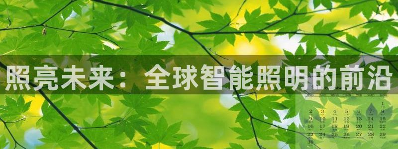 云顶集团网投