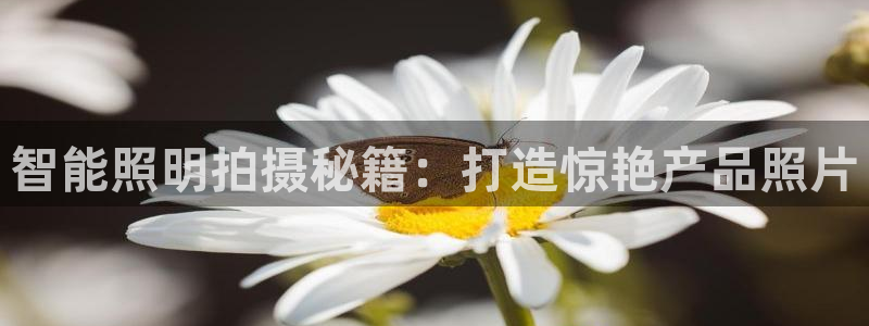 云顶12301网站