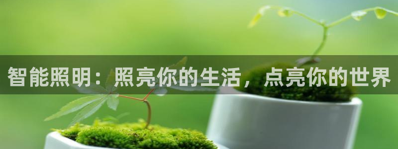 云顶国际网页