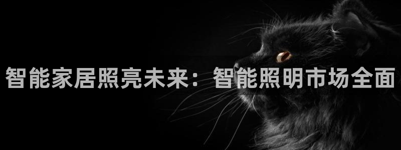 云顶国际旅行社