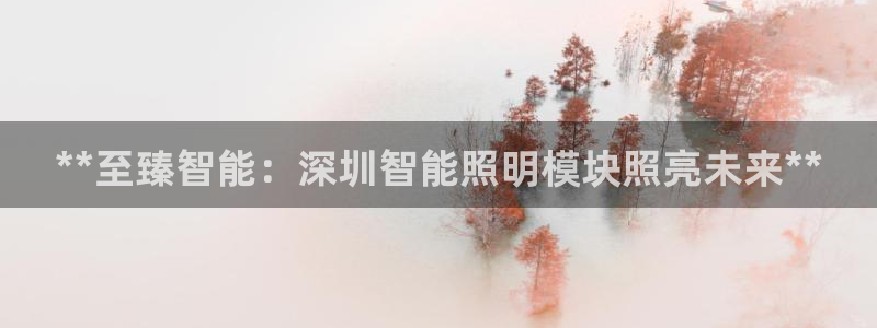 太原云顶国际酒店桑拿几楼