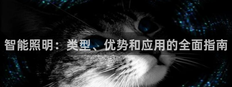 云顶国际77026