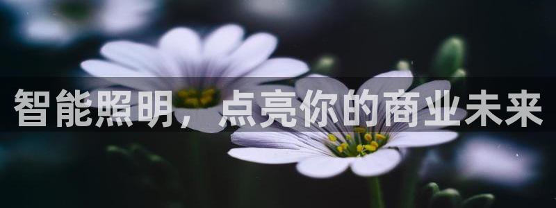 云顶国际提现多久到账啊