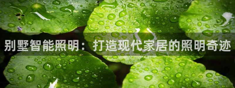 云顶集团网站多少