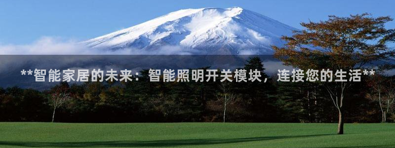 云顶集团市值