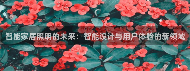 云顶国际公馆