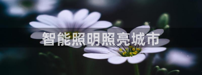 云顶国际游戏平台有哪些
