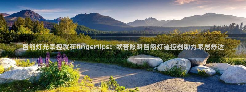 云顶手游国际服什么时候更新
