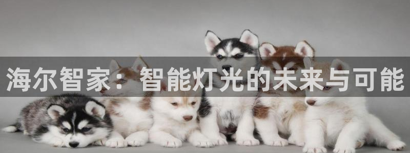 云顶国际调酒培训怎么样