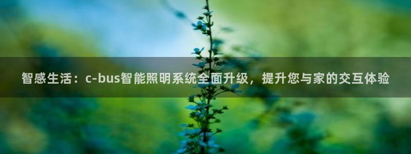 云顶国际停车费多少钱