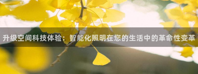 云顶最新调整