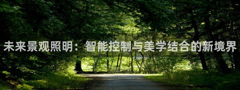 云顶国际服mac汉化