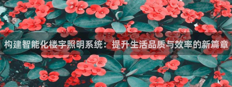 云顶国际装饰设计 宁波