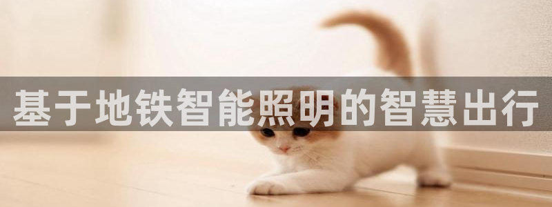 官网云顶电子游戏网站