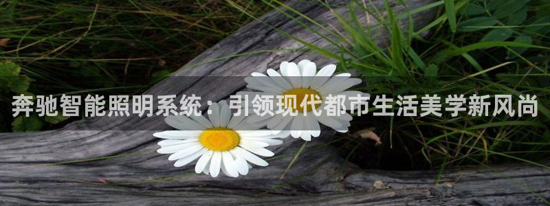 禹州云顶国际二手房